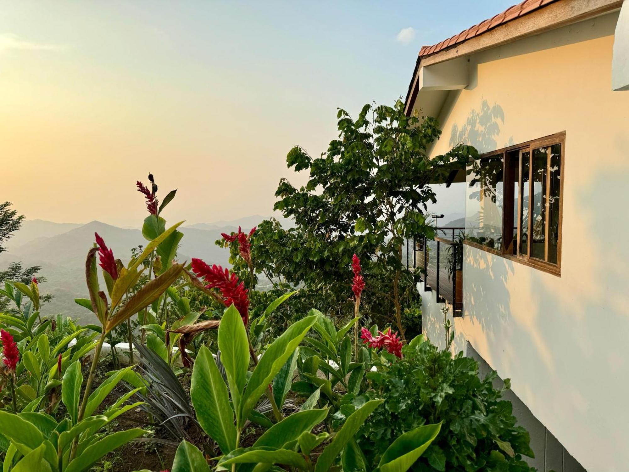 Villa Canopy Minca Dış mekan fotoğraf